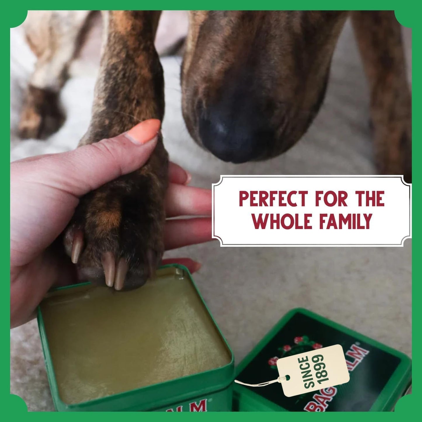 Original Bag Balm Ointment Moisturizing for Dry Skin Pack of 2 Bundle with Silicone Brush Applicator 8 oz